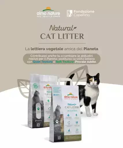 Natural Cat Litter